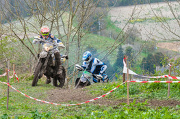 Ch&acirc;teau: n&deg;15