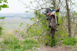 Ch&acirc;teau: n&deg;19