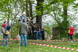 Ch&acirc;teau: n&deg;4 au milieu des spectateurs