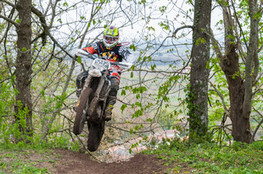 Ch&acirc;teau: n&deg;597