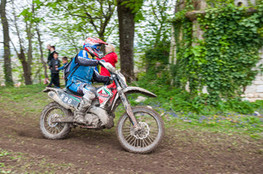 Ch&acirc;teau: n&deg;590