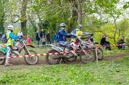 Ch&acirc;teau: n&deg;584 bien entour&eacute;