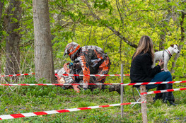 Ch&acirc;teau: n&deg;615 &agrave; terre