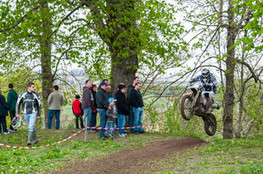 Ch&acirc;teau: n&deg;623 saute