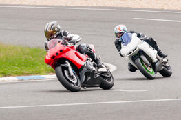 D&eacute;butant : Ludo en chasse