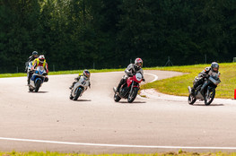 Groupe 1 - Robin dans la m&ecirc;l&eacute;e