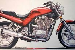 SUZUKI VX800